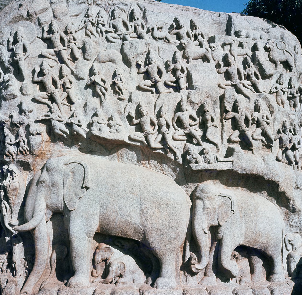 Arjuna