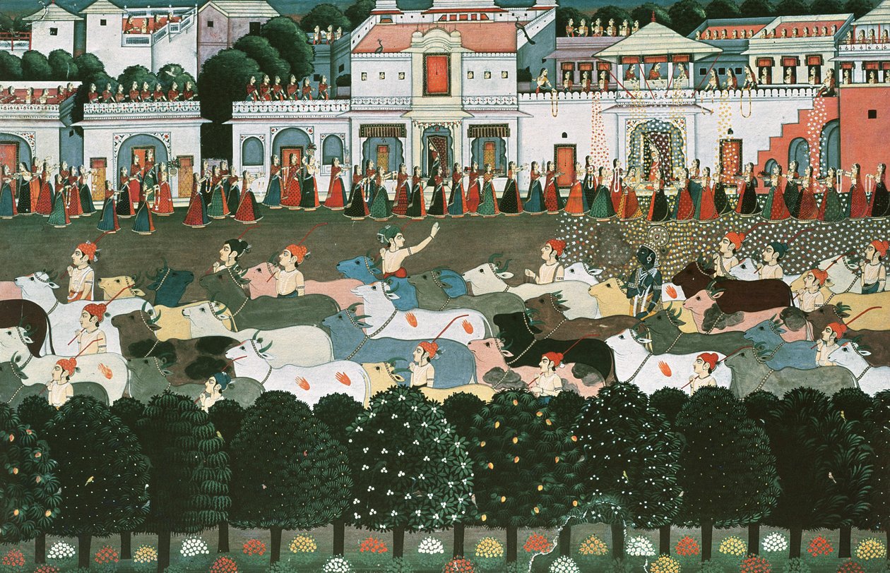 İnek Ahırına Dönüş 8: ahıra dönüş zamanı; by Indian School
