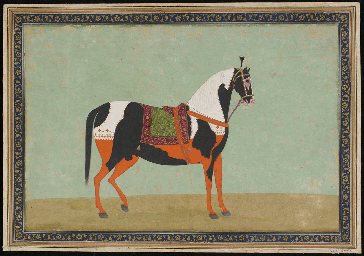 Bir At, Albüm folyosu, 19. yüzyıl (kağıt üzerinde opak suluboya ve altın) by Indian School