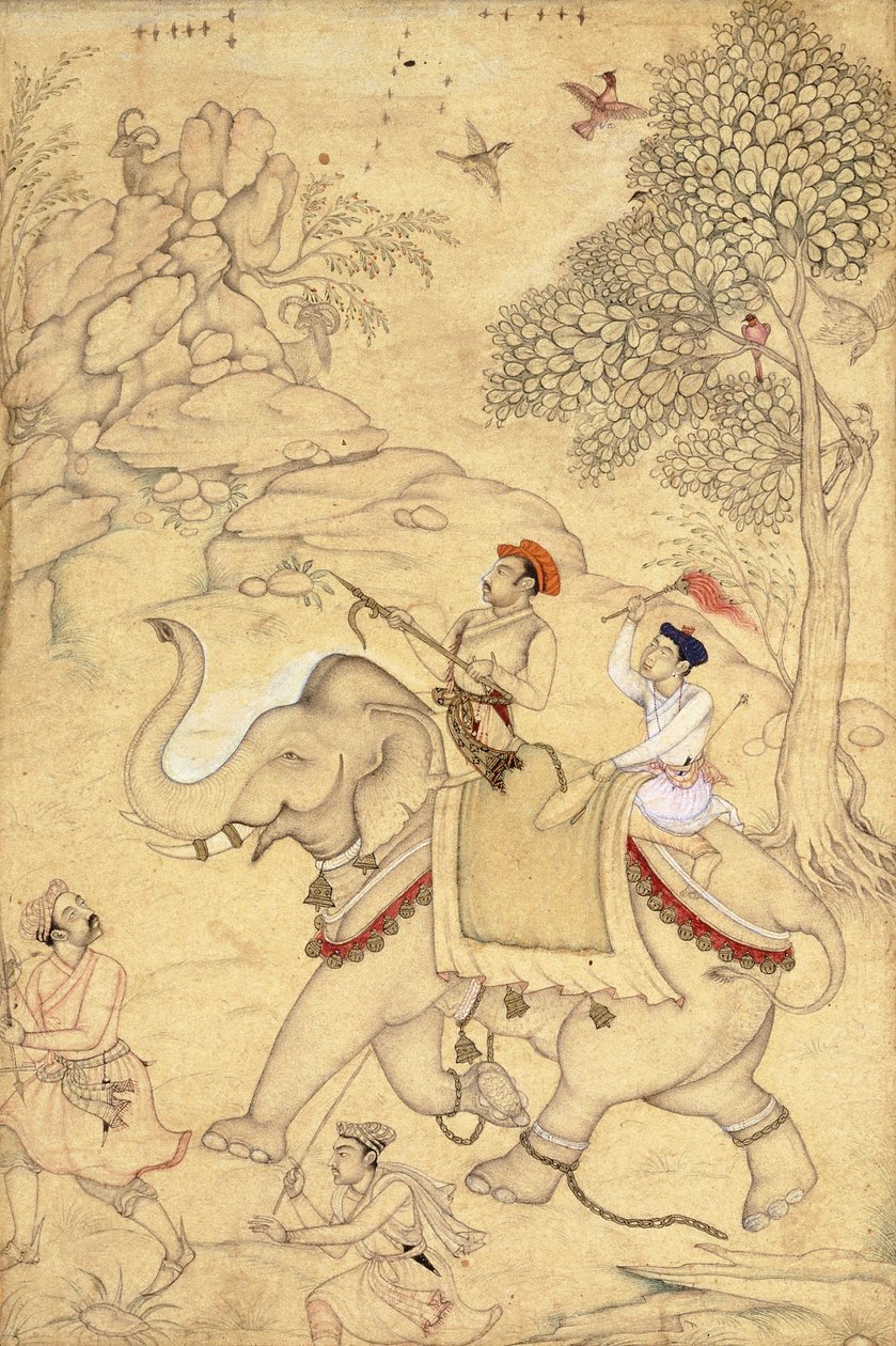 Fil Üzerine Binmiş Prens Avı, c.1600-1650 by Indian School