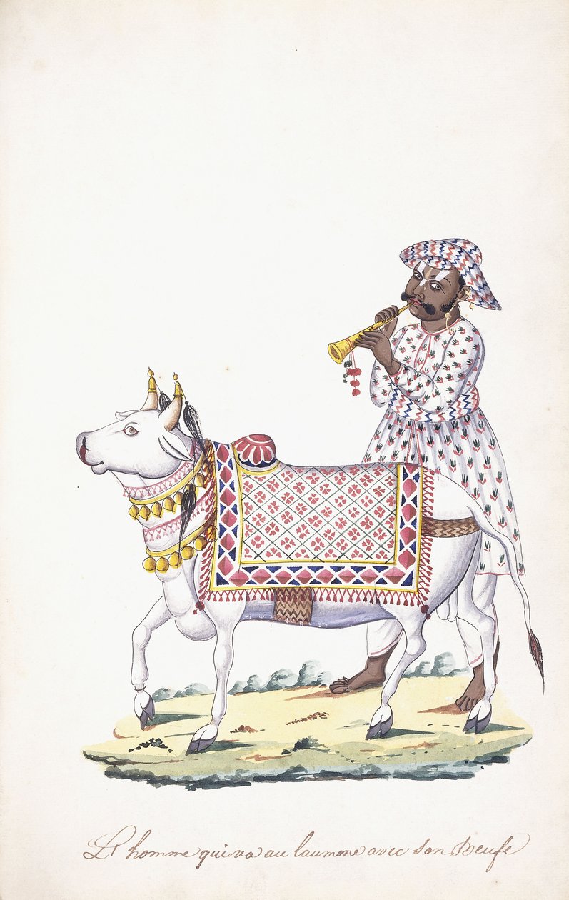 Öküzü olan bir adam, c. 1825 (kalem, tükenmez kalem, siyah mürekkep, w/c, Whatman kağıdı üzerinde) by Indian School