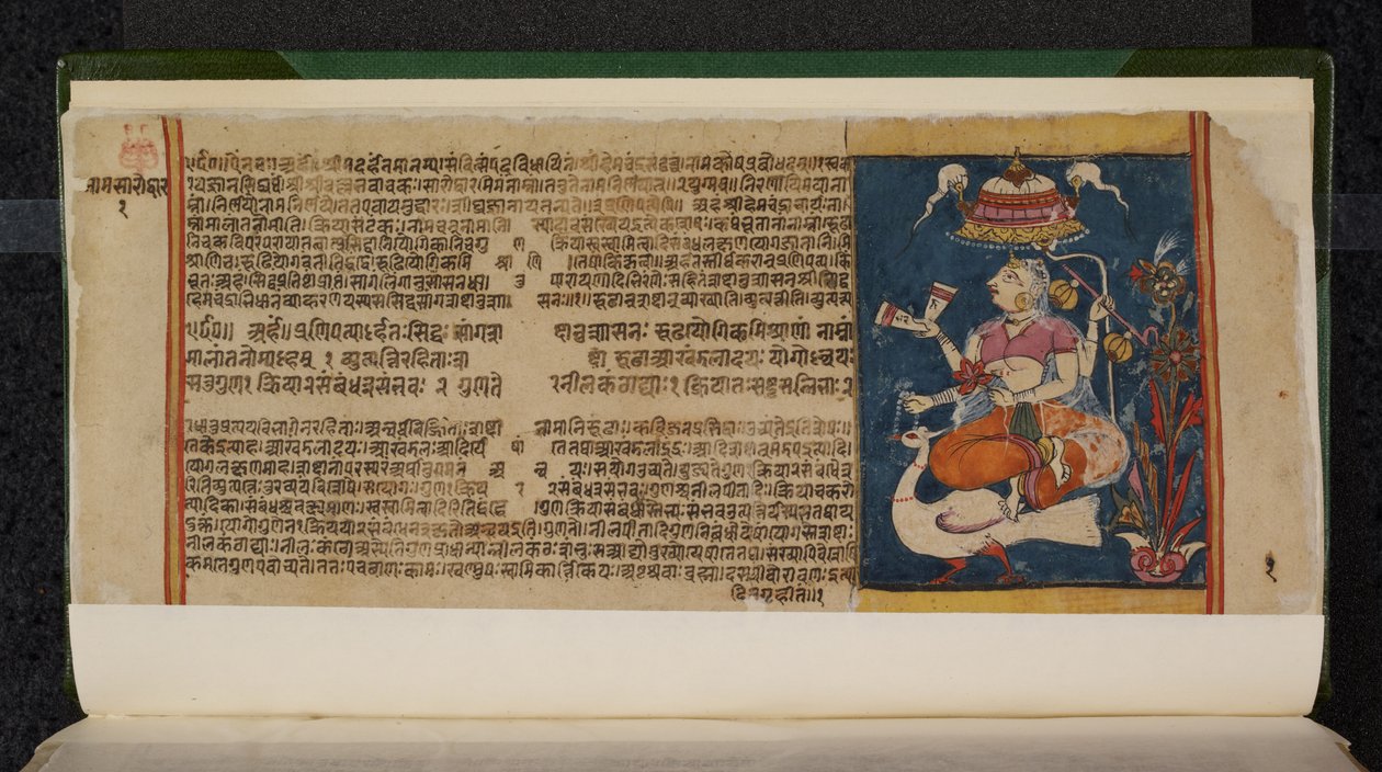 Abhidan Chintamani el yazması folyosu by Indian School
