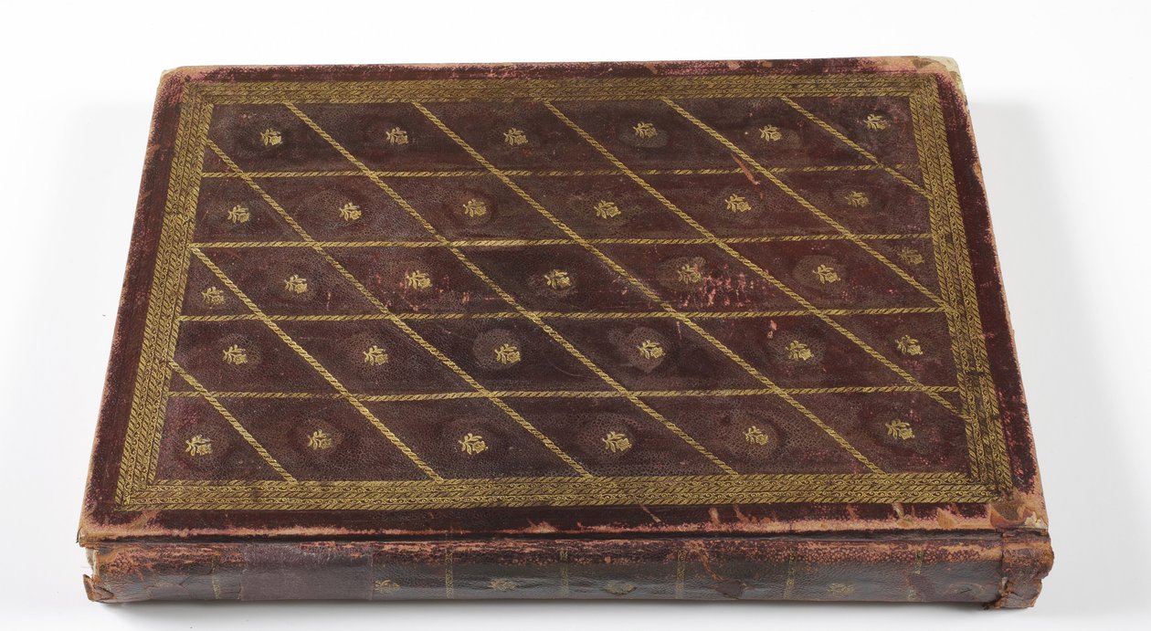 Babür hanedanı şecere albümü, 1855 (altın detaylı deri) by Indian School