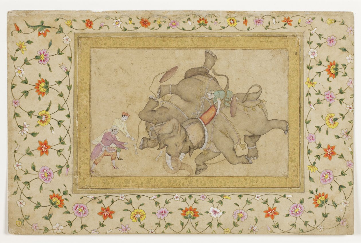 Bir fil dövüşü, bordür çiçekli arabesk, c.1610 (kağıt üzerinde opak wc ve altın rengi) by Indian School