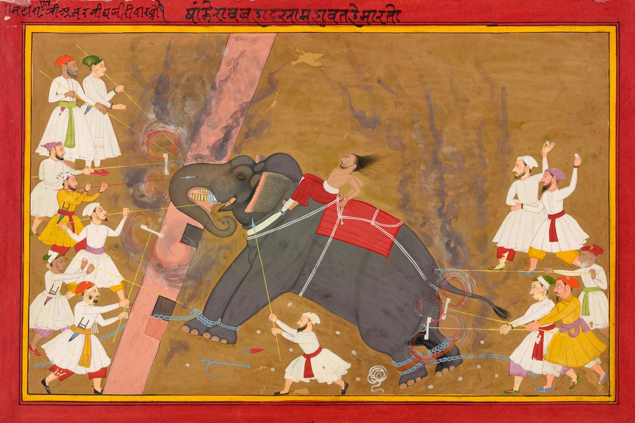 Bir fil çılgına döner, c.1700 by Indian School