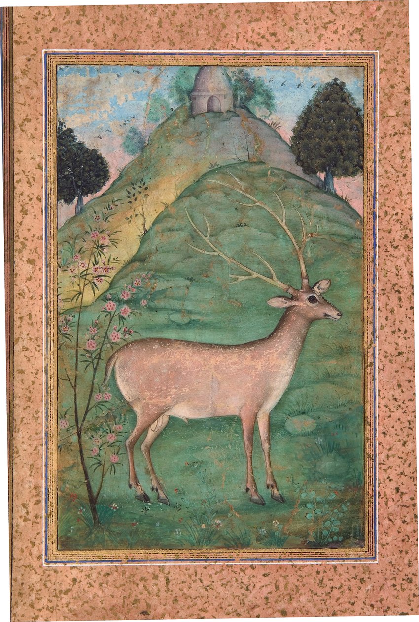 Buck in a Landscape, c.1595 (kağıt üzerinde opak wc ve altın) by Indian School