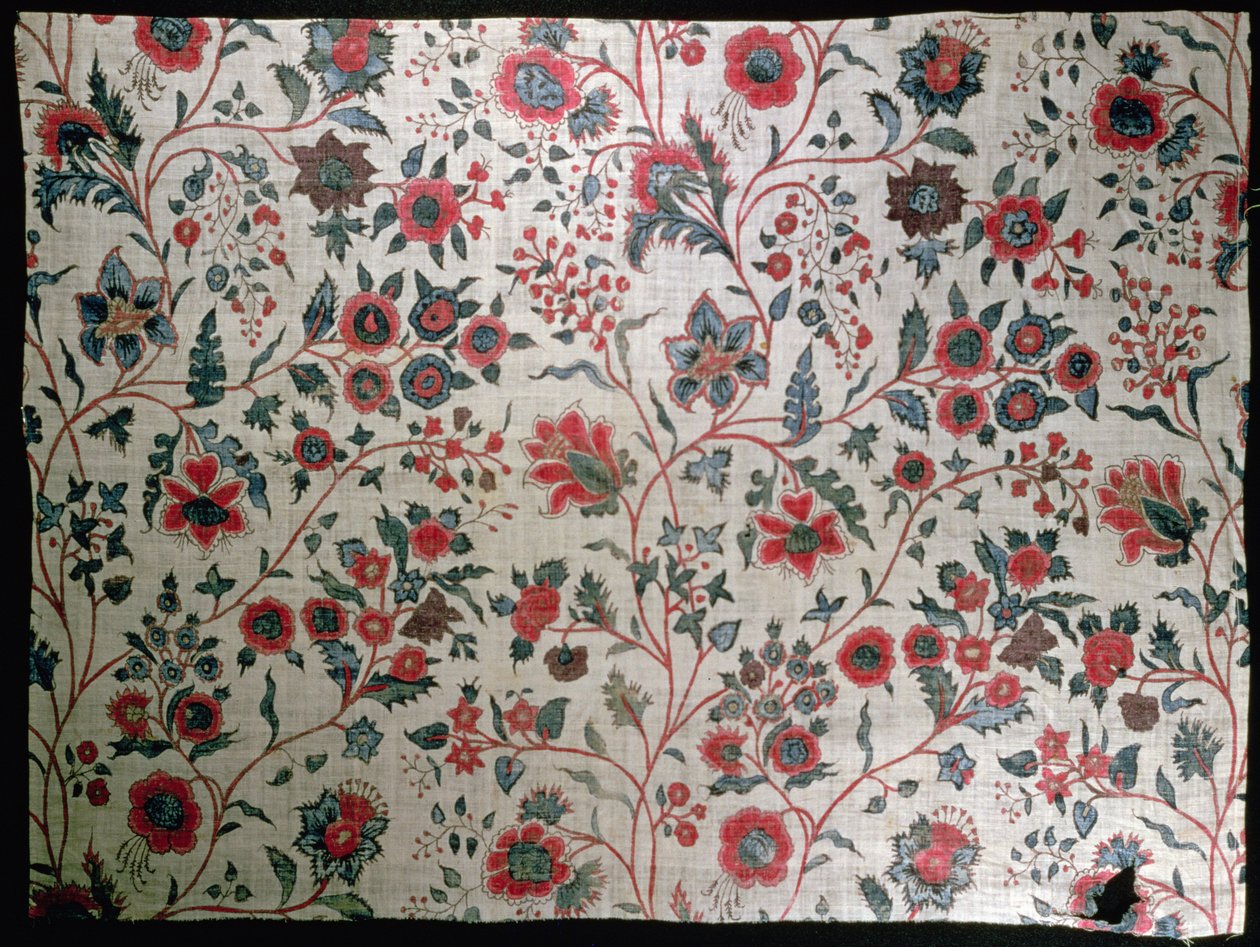 Dekoratif tekstil, 1725-50 by Indian School
