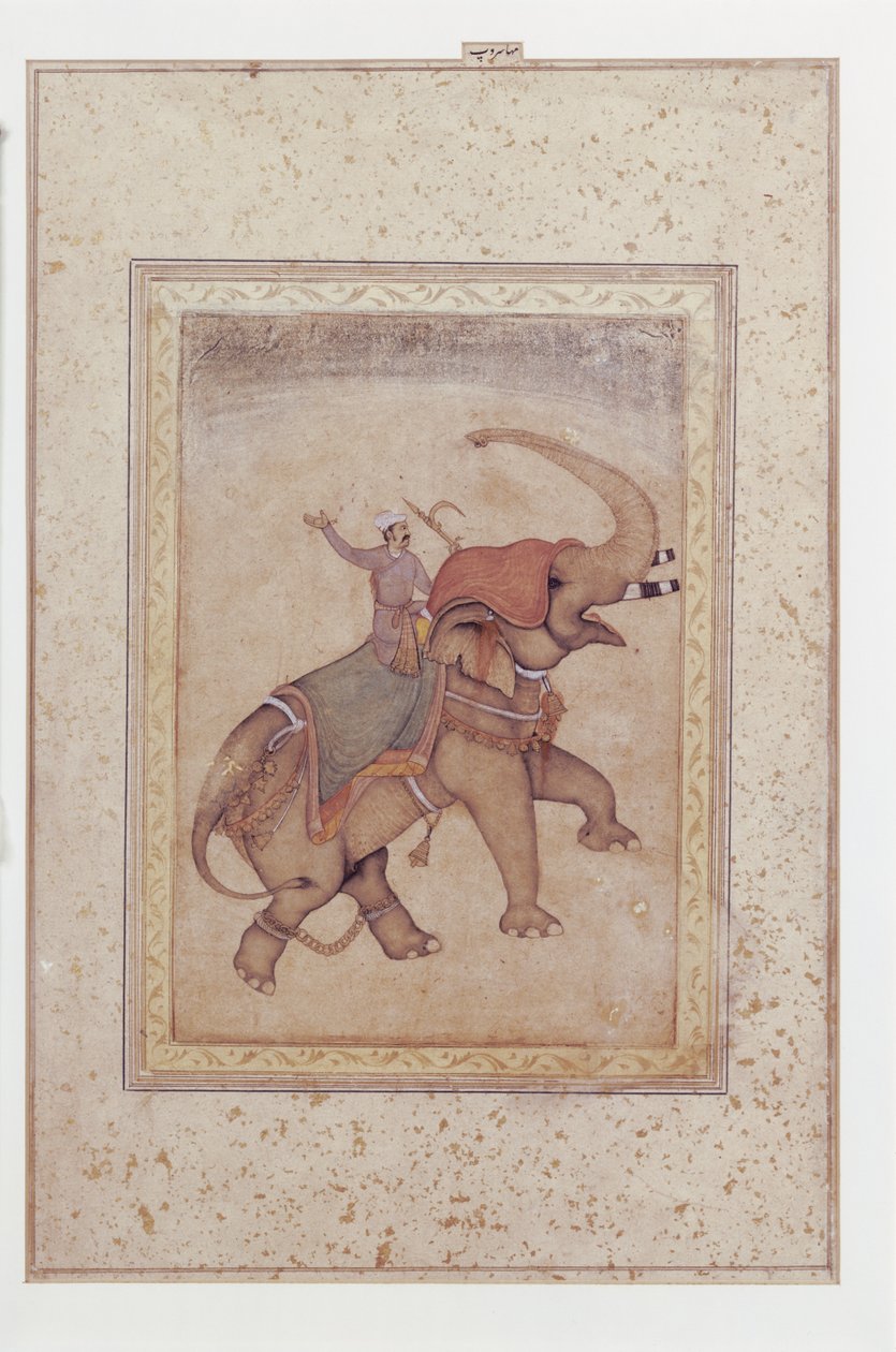 Fil ve mahout (fil sürücüsü), yakl.
1595-1600 (Kağıt üzerine opak suluboya, mürekkep ve altın) by Indian School