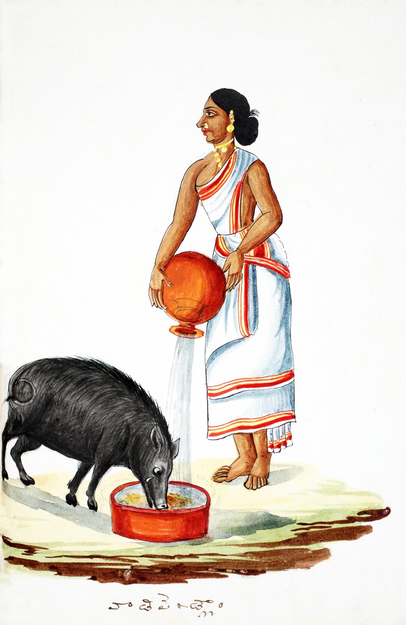 Yaban domuzu beslemek (kağıt üzerinde wc) by Indian School