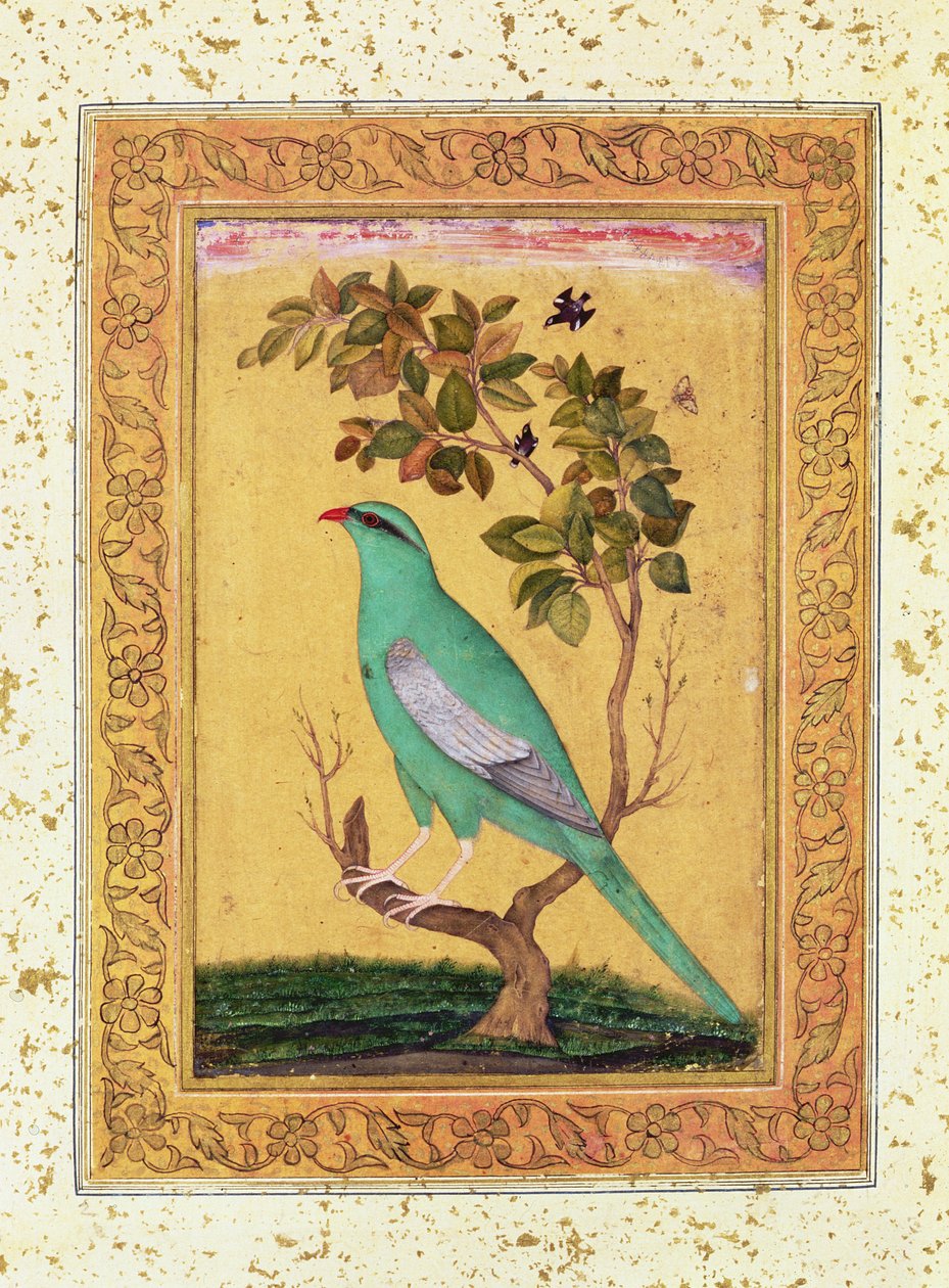 Yeşil Kuş, Babür by Indian School