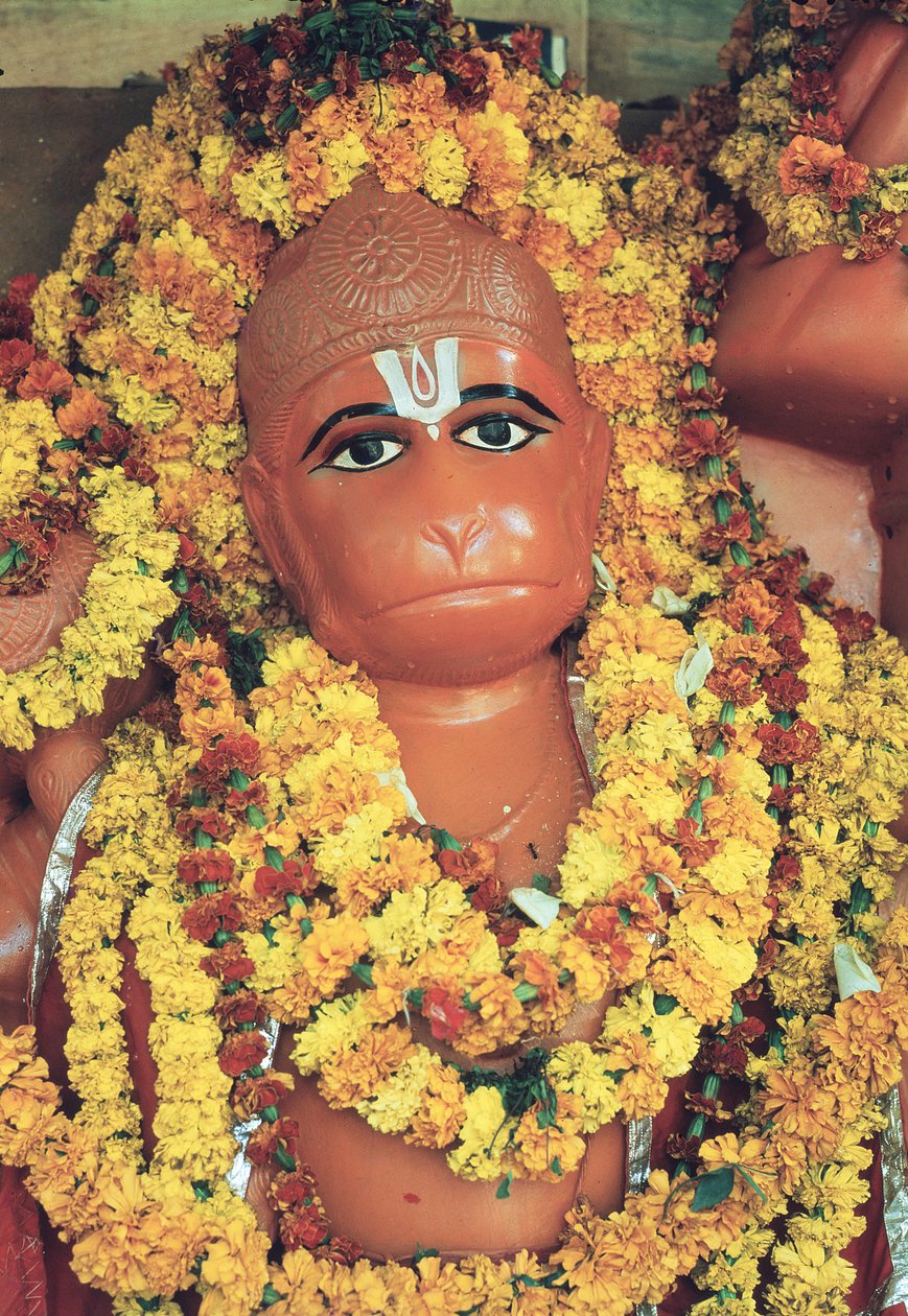 Hanuman, Maymun Tanrı (kabuklu emaye) by Indian School