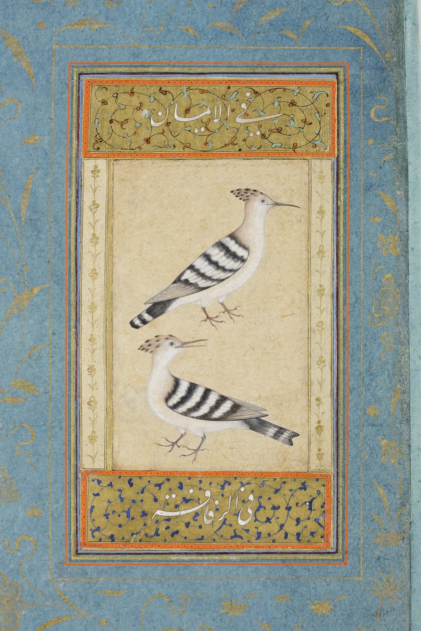 Hoopoes, c.1590 (kağıt üzerinde opak wc ve altın) by Indian School