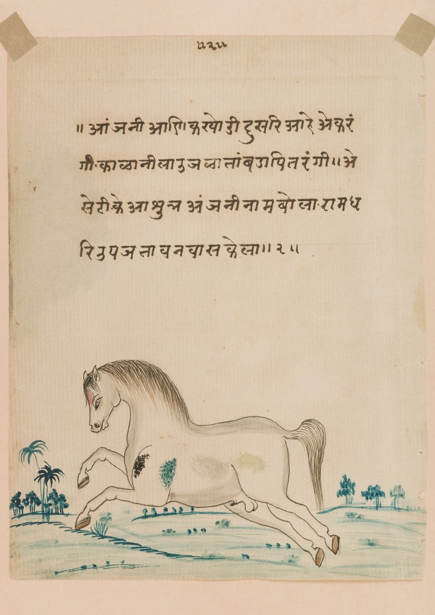 At (kağıt üzerinde opak klozet) by Indian School