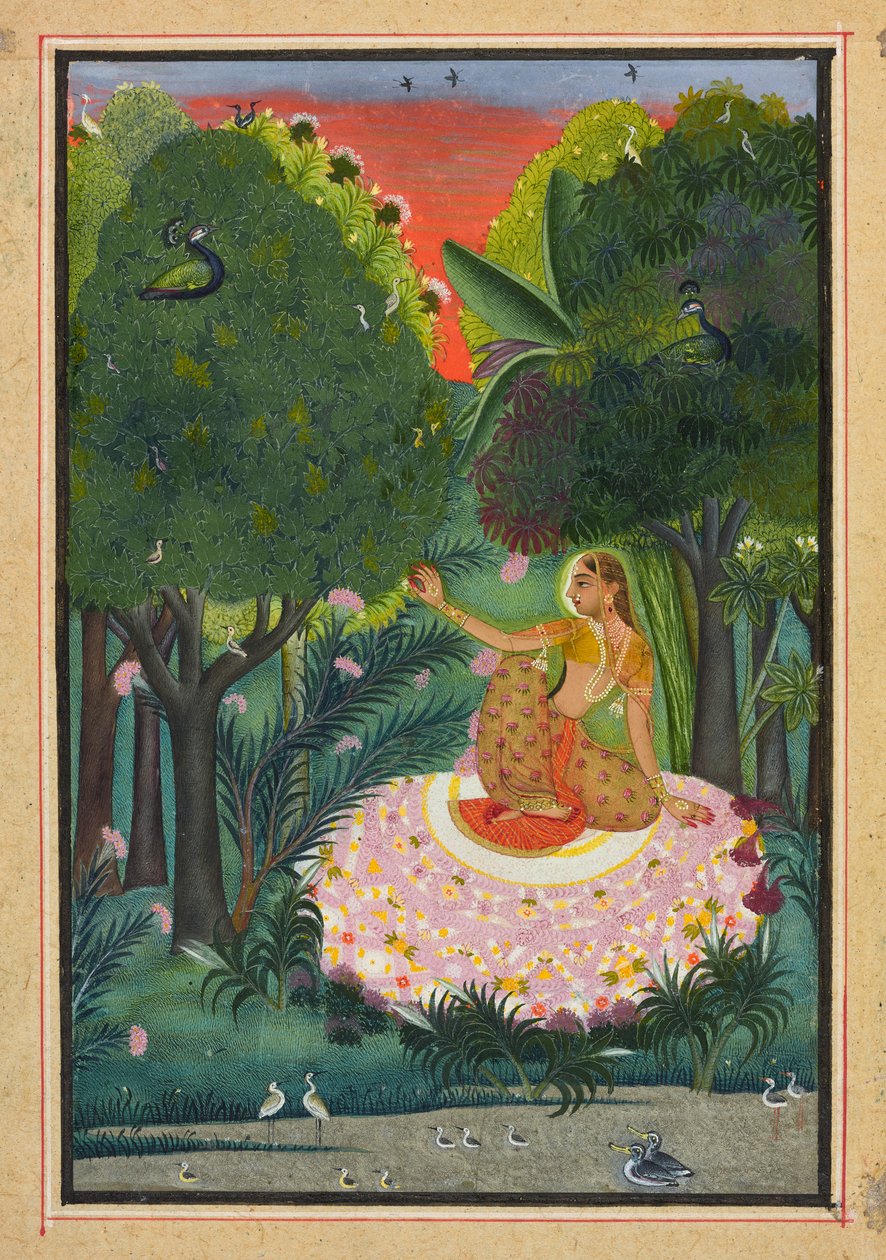 Komodin Ragini, Bir "Ragmala"dan Folio, s.1770-1775 by Indian School