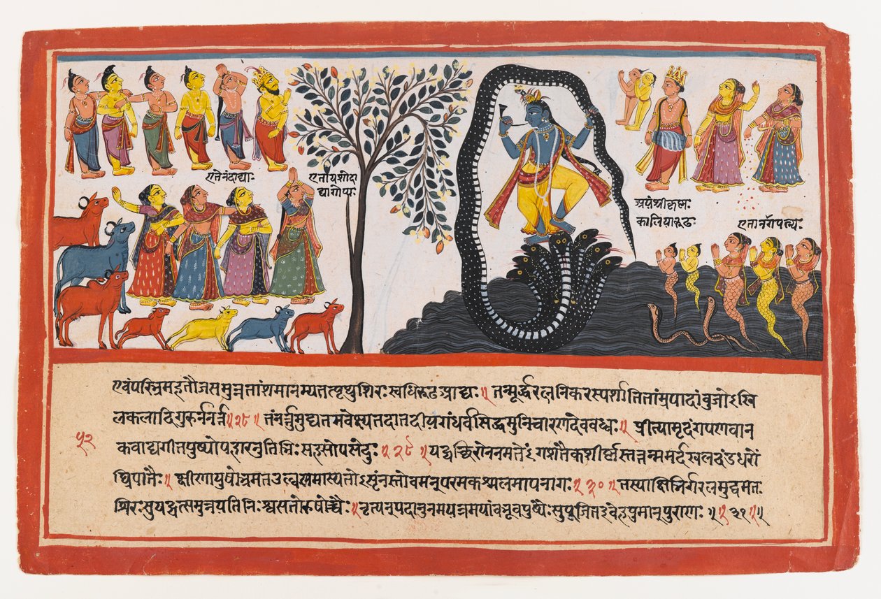 Krishna Yılan Kaliya