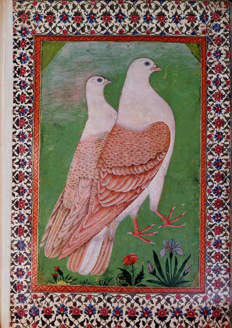 Oryantal sanat: iki güvercin. 16. yüzyıl Hint el yazması sayfası. Paris, B.N. by Indian School