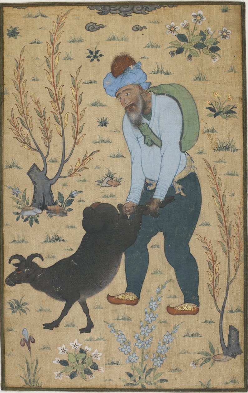 Çoban ve keçi, Babür hanedanı (pamuk üzerine renk) by Indian School