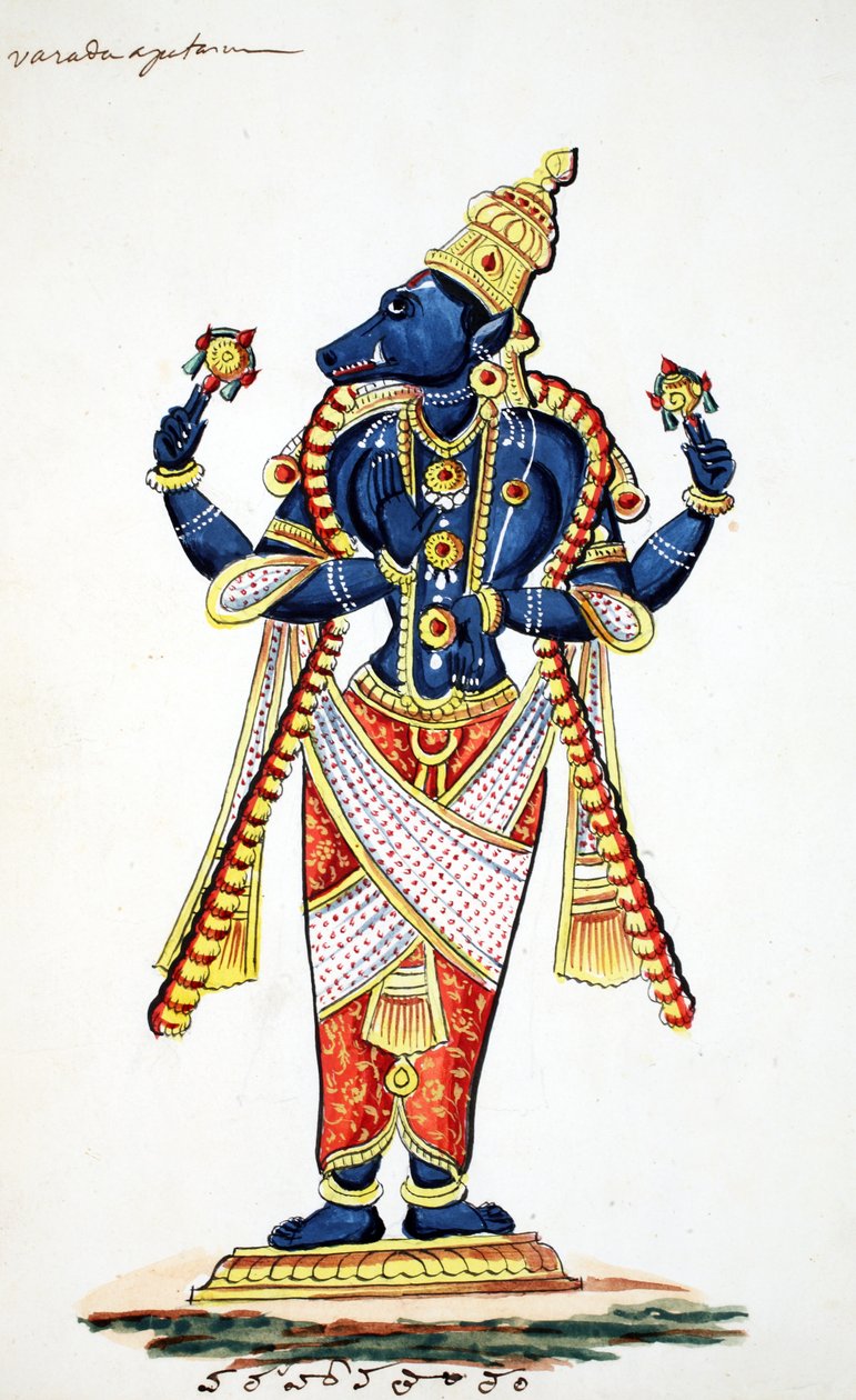Varaha, Vişnu