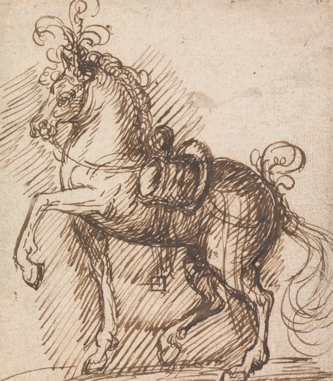 Tüylü Bir Eyer-At by Inigo Jones