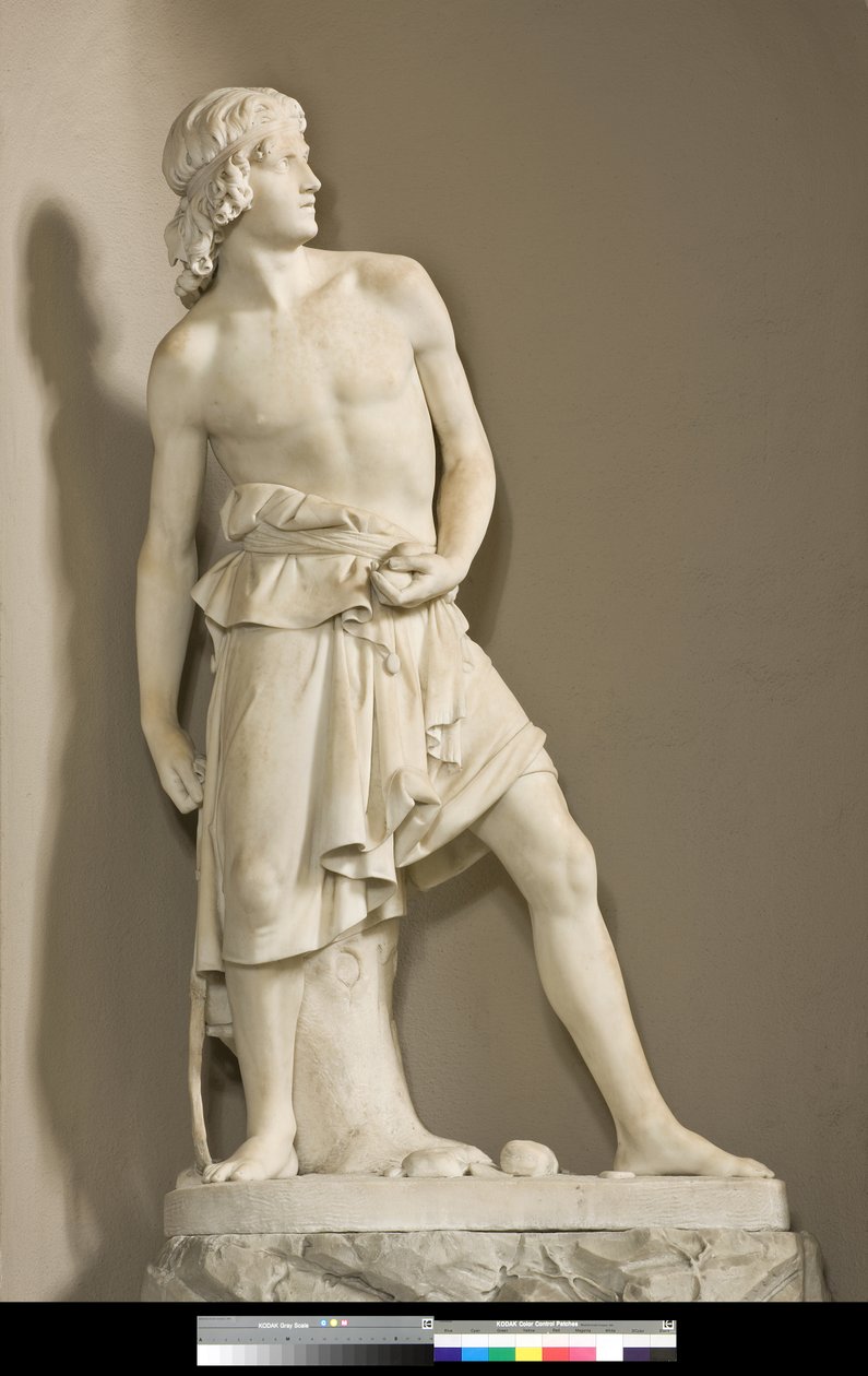 Sapanlı David, 1858 by Innocenzo Fraccaroli