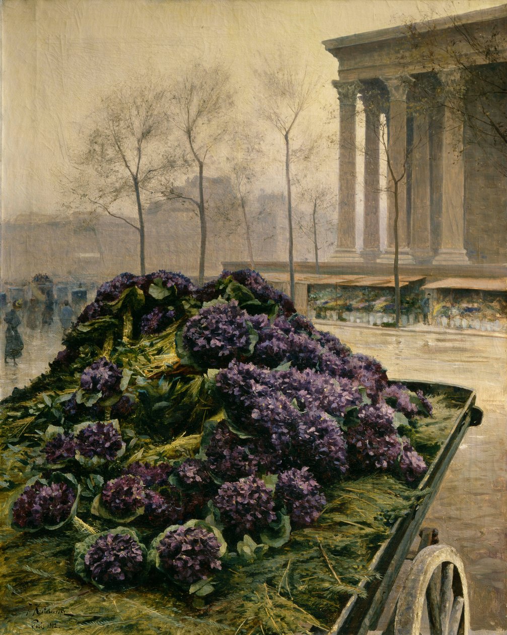 Nice Menekşeleri, 1902. by Iosiph Evstafievich Krachkovsky