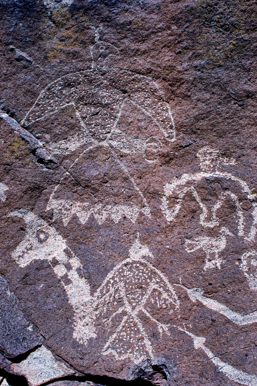 New Mexico
