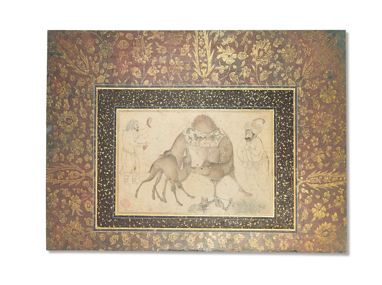 Bir Deve ve Buzağı, Safevi İran, 1650-1700 by Iranian School