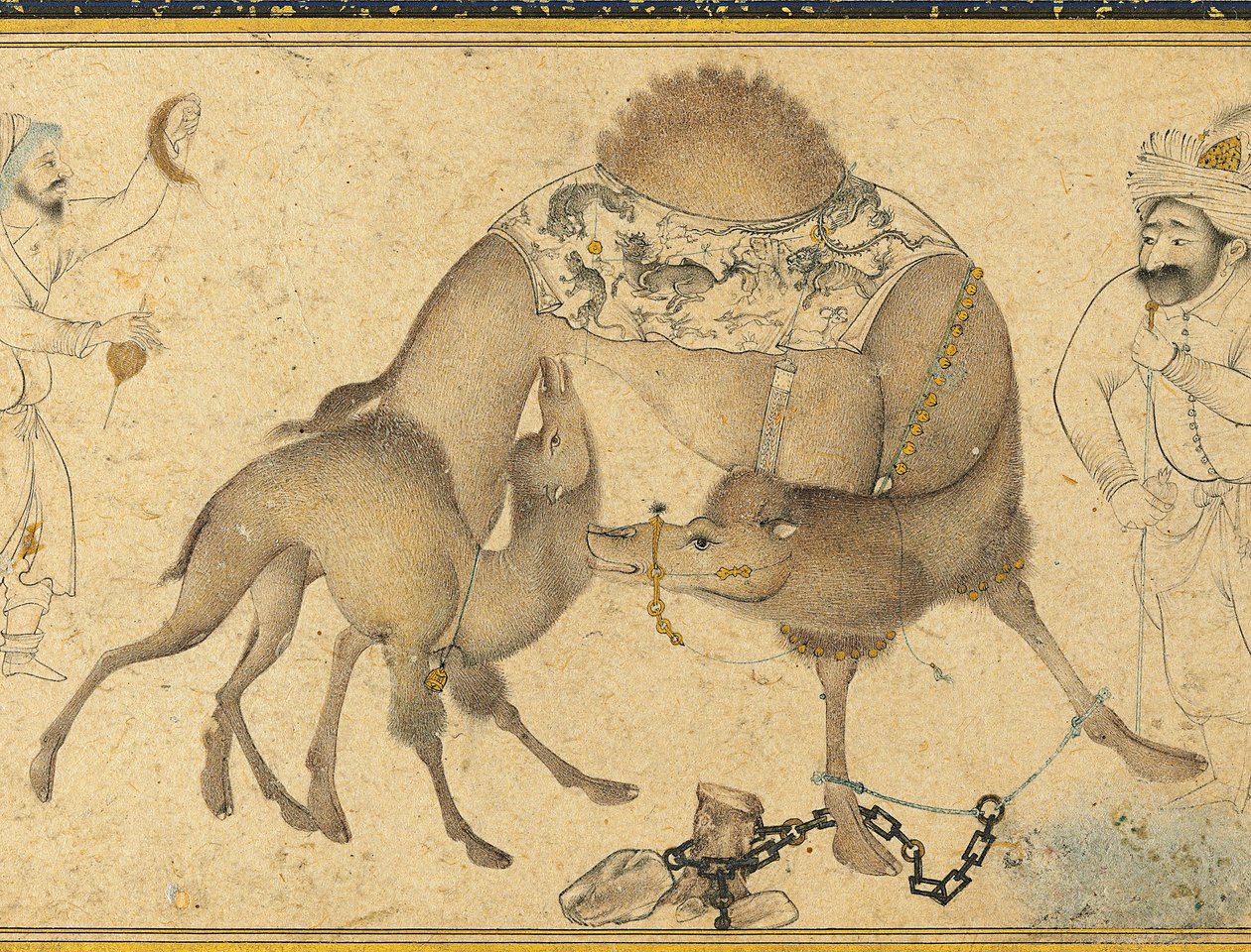 Bir Deve ve Buzağı, Safevi İran, 1650-1700 by Iranian School