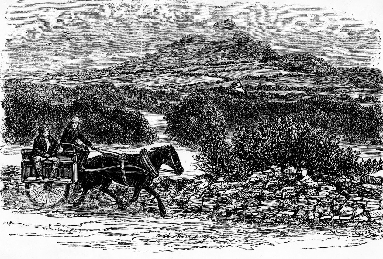 County Wicklow, E. Taylor tarafından yapılan baskı by Irish School