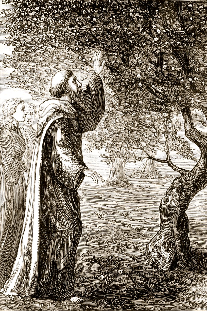 St. Columba, Mary Cusack (1829-99) tarafından 1890