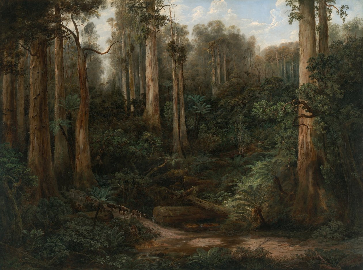 Bir Sassafras Vadisi, Gippsland by Isaac Whitehead