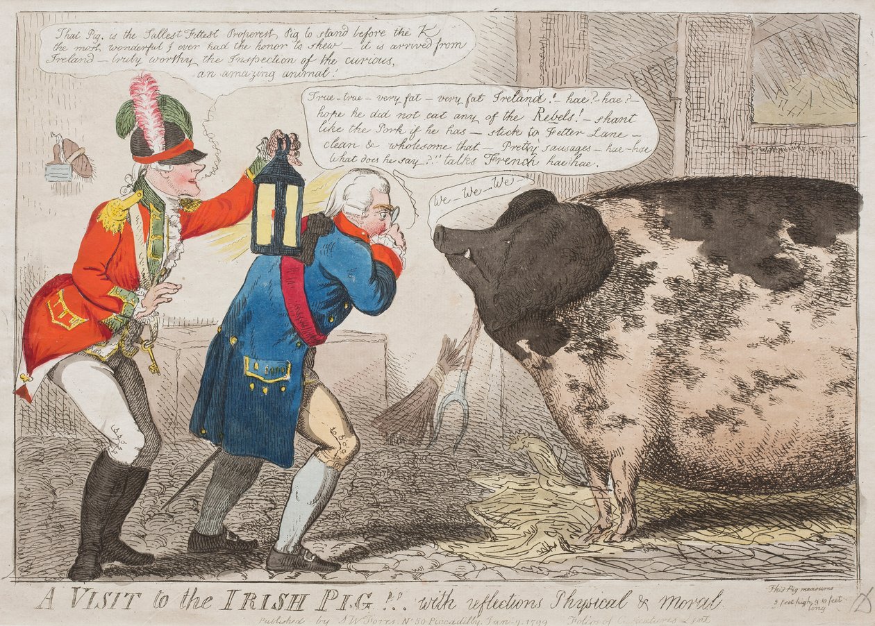 İrlandalı Domuza Bir Ziyaret !! Yansımalar ile Fiziksel ve Ahlaki by Isaac Cruikshank