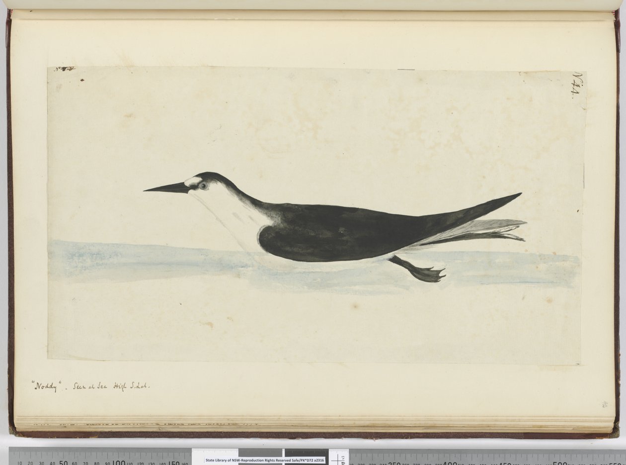 F.44 Baş. Denizde görülen yüksek S. lat., 1772-75 (wc) by Isaac Smith