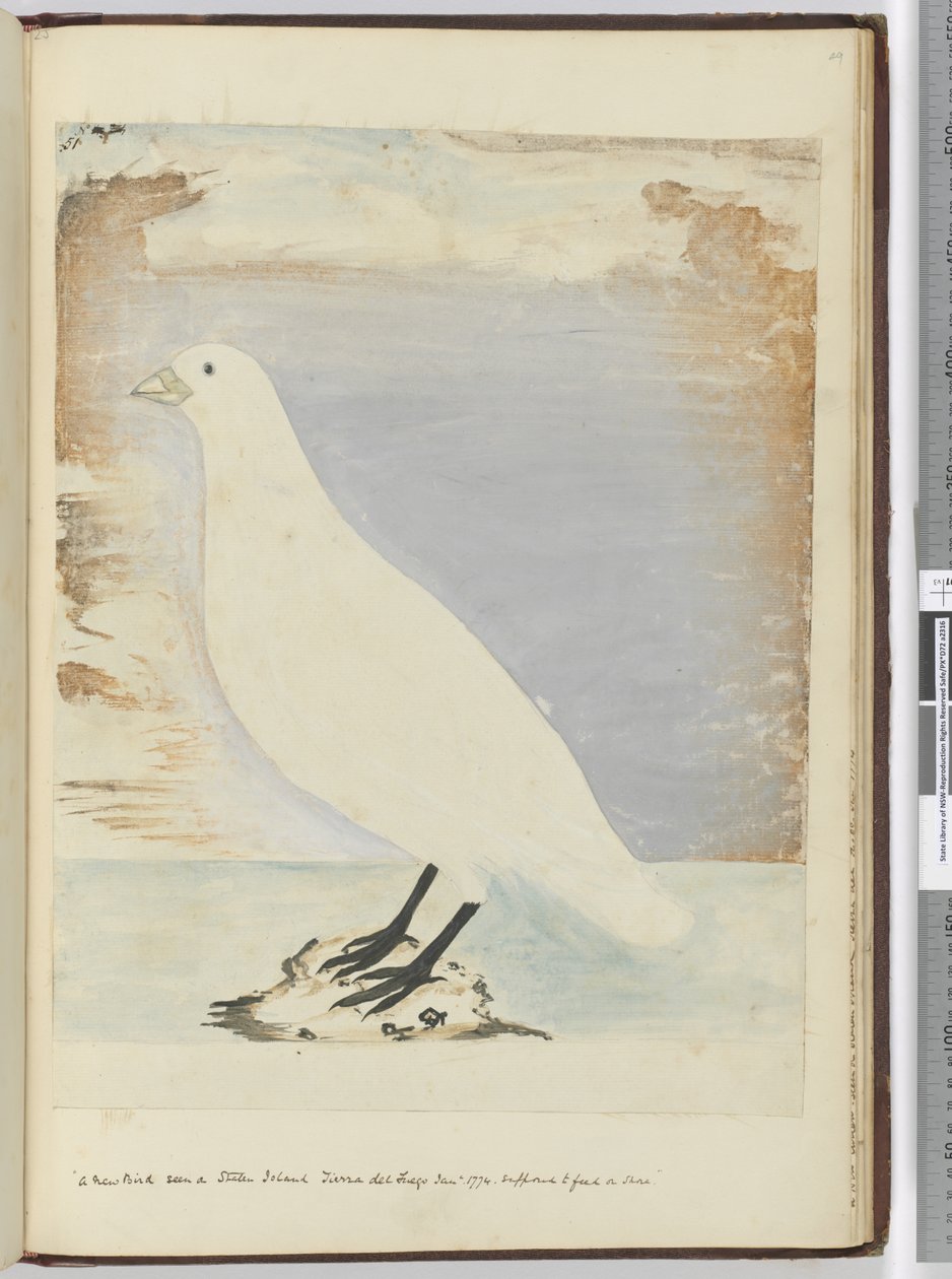 F.51 Staten Island Tierra del Fuego Ocak 1774