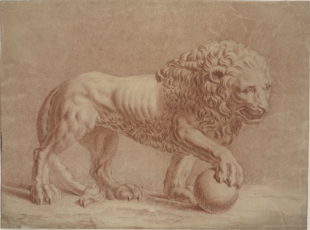 Aslan bir küre üzerinde sağ patisiyle sağa döndü by Isaac Taylor