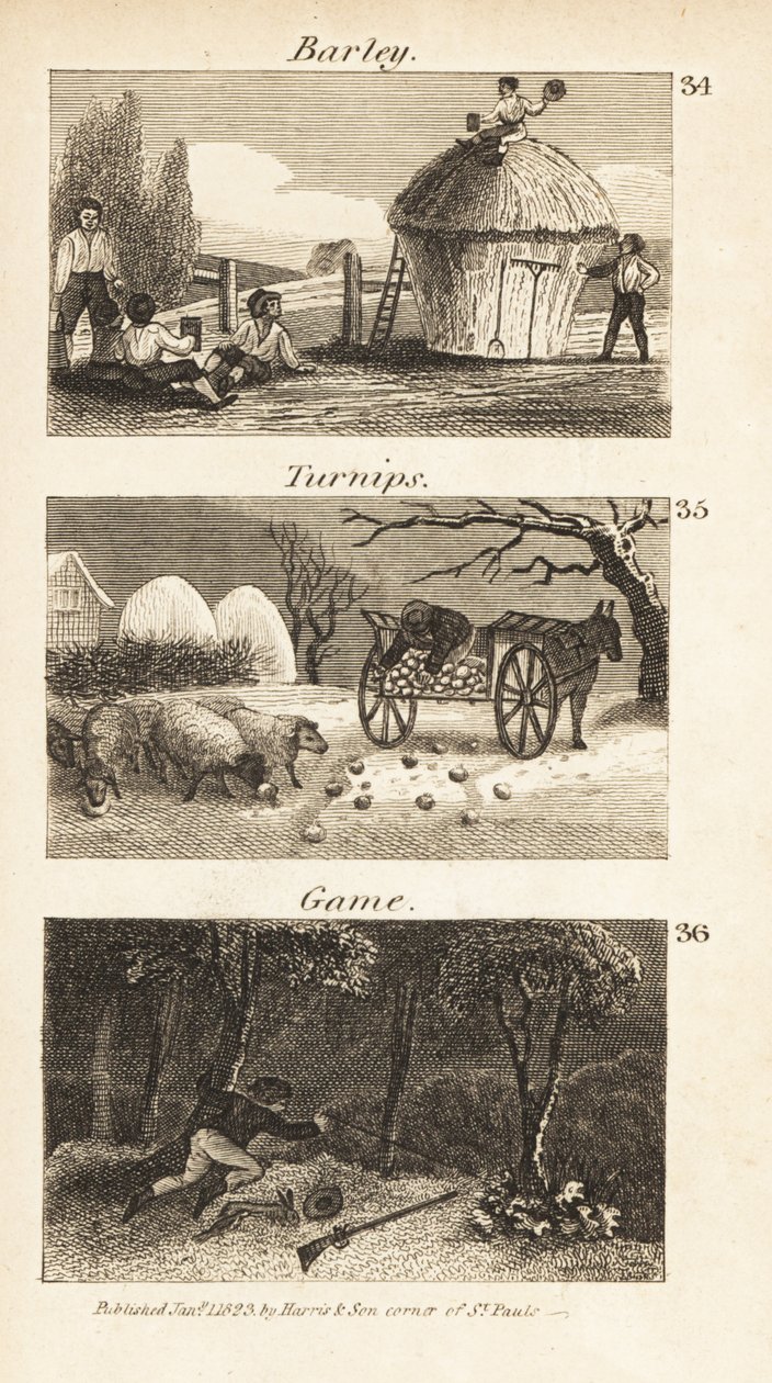 Norfolk, Regency İngiltere'de Ticaret by Isaac Taylor