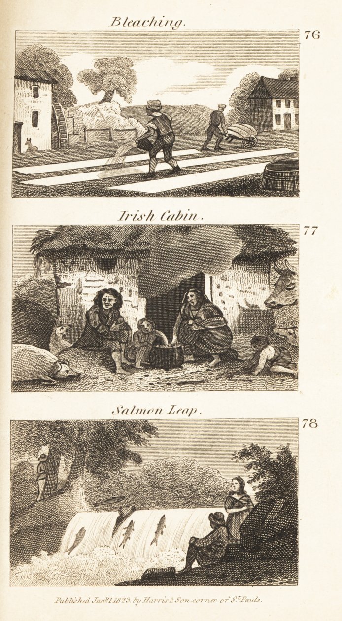 Regency Ireland