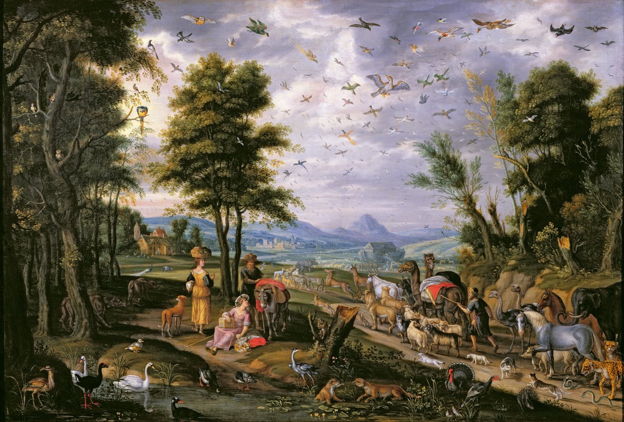 Ark