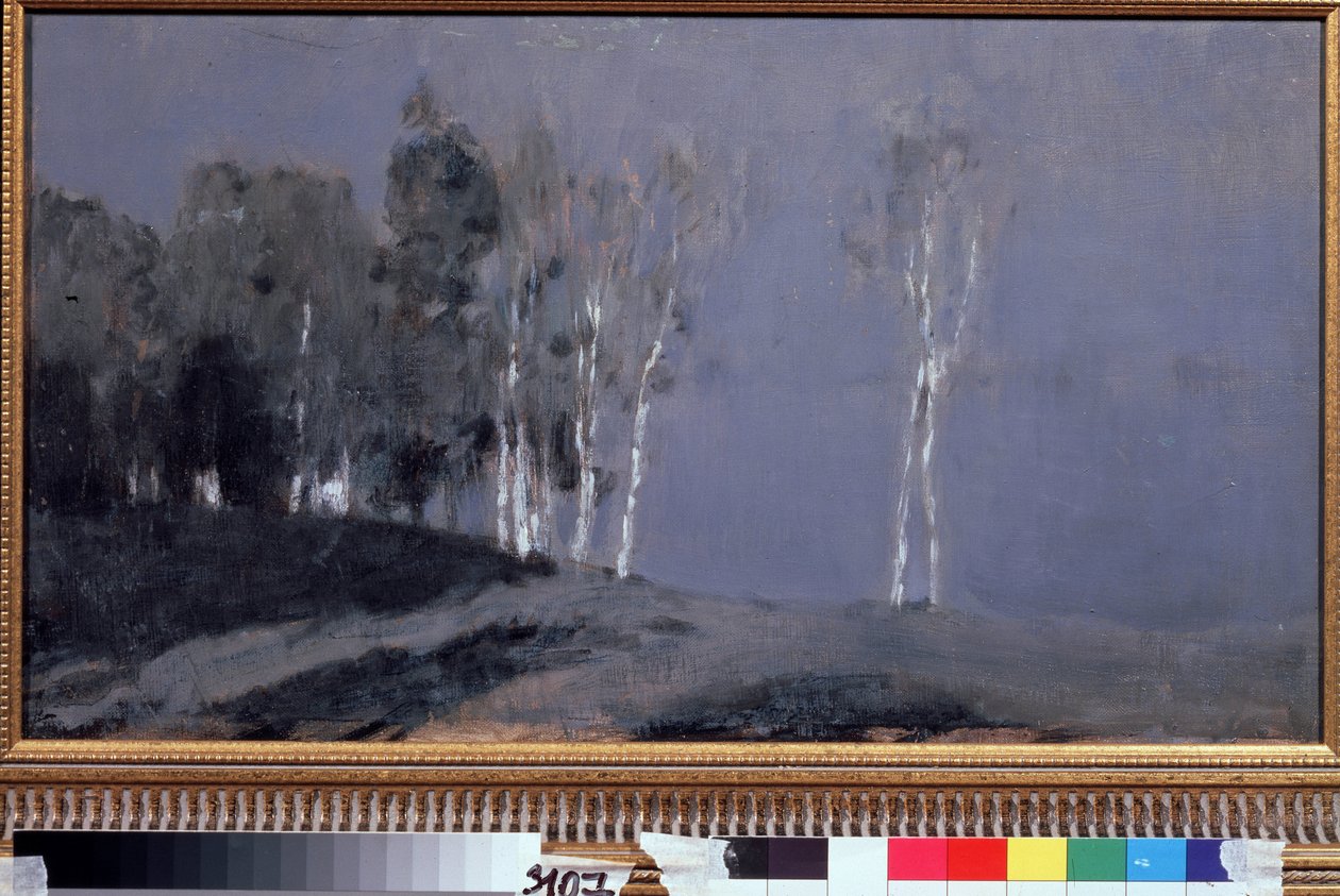 Mehtaplı Gece. Isaac (Isaac) Ilyich Levitan (1860-1900), tuval üzerine yağlıboya, yaklaşık 1890. Rus sanatı, 19. yüzyıl manzarası. Devlet Tretyakov Galerisi, Moskova. by Isaak Ilyich Levitan