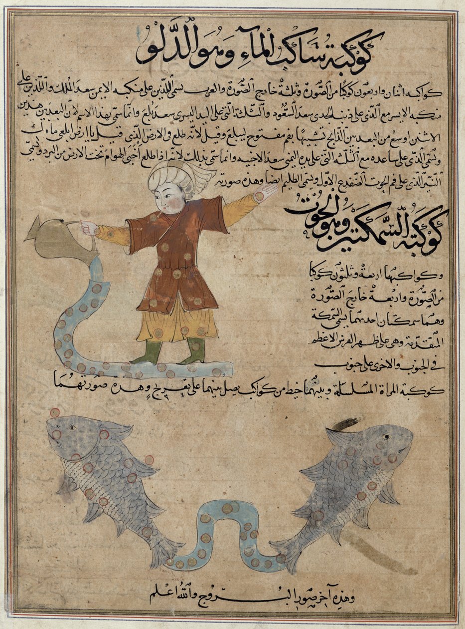 Bayan E-7 fol.25a Kova ve Balık, Zakariya