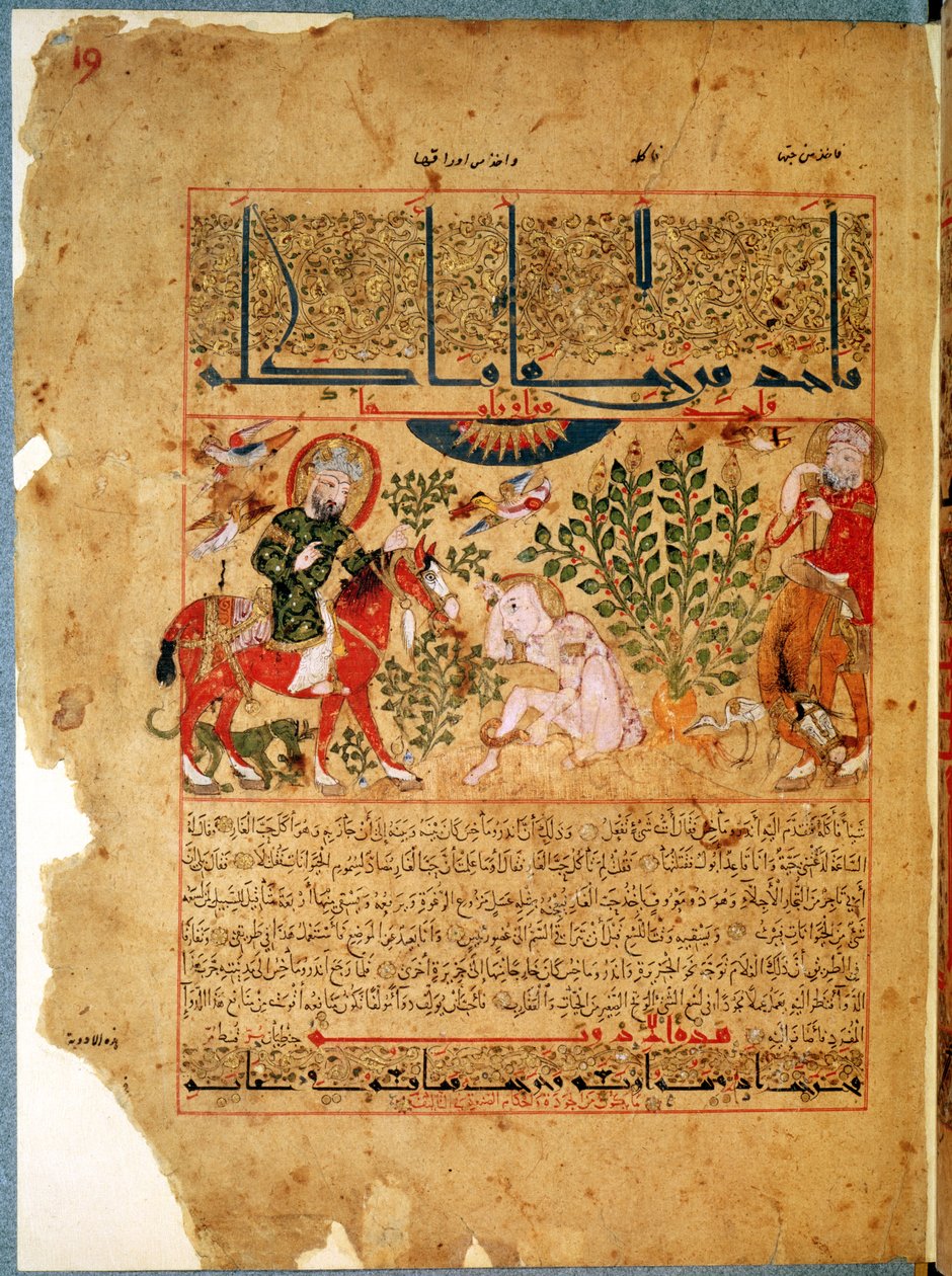 Bayan Arabe 2964 fol.19 Doktor Anoromachus, erkek kardeşini bir yılan tarafından ısırıldı, Galien