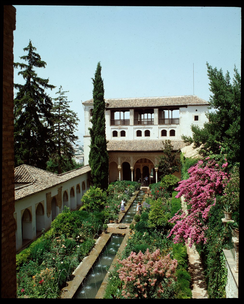 Palacio de Generalife ve bahçelerin yaz manzarası by Islamic School