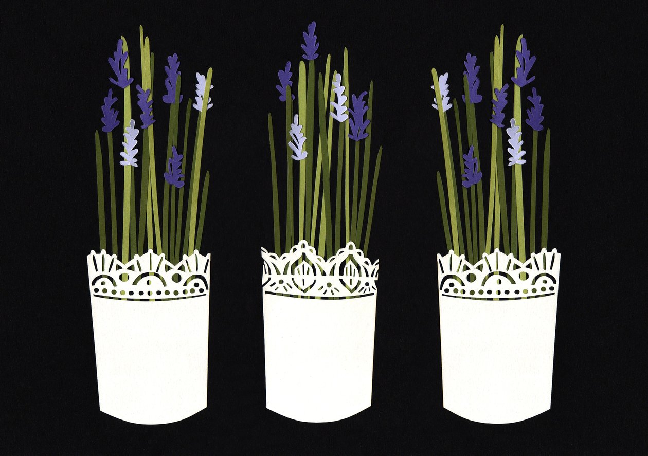 Lavanta saksıları, 2014 (kağıt) by Isobel Barber