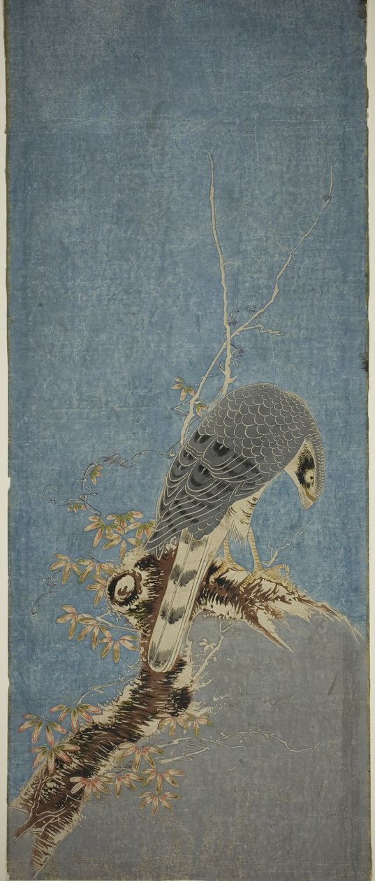 Ağaca Tünemiş Şahin by Isoda Koryusai
