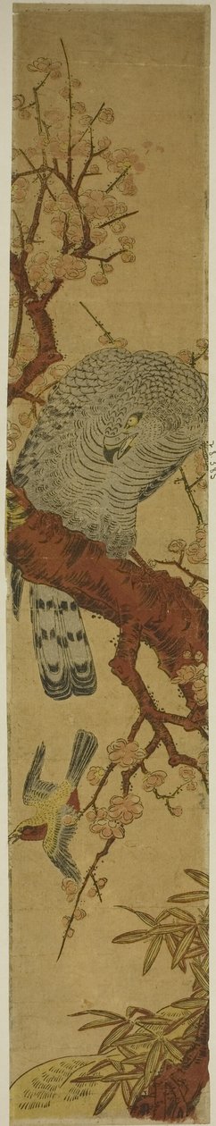 Erik dalındaki şahin kaçan kuşa bakıyor by Isoda Koryusai