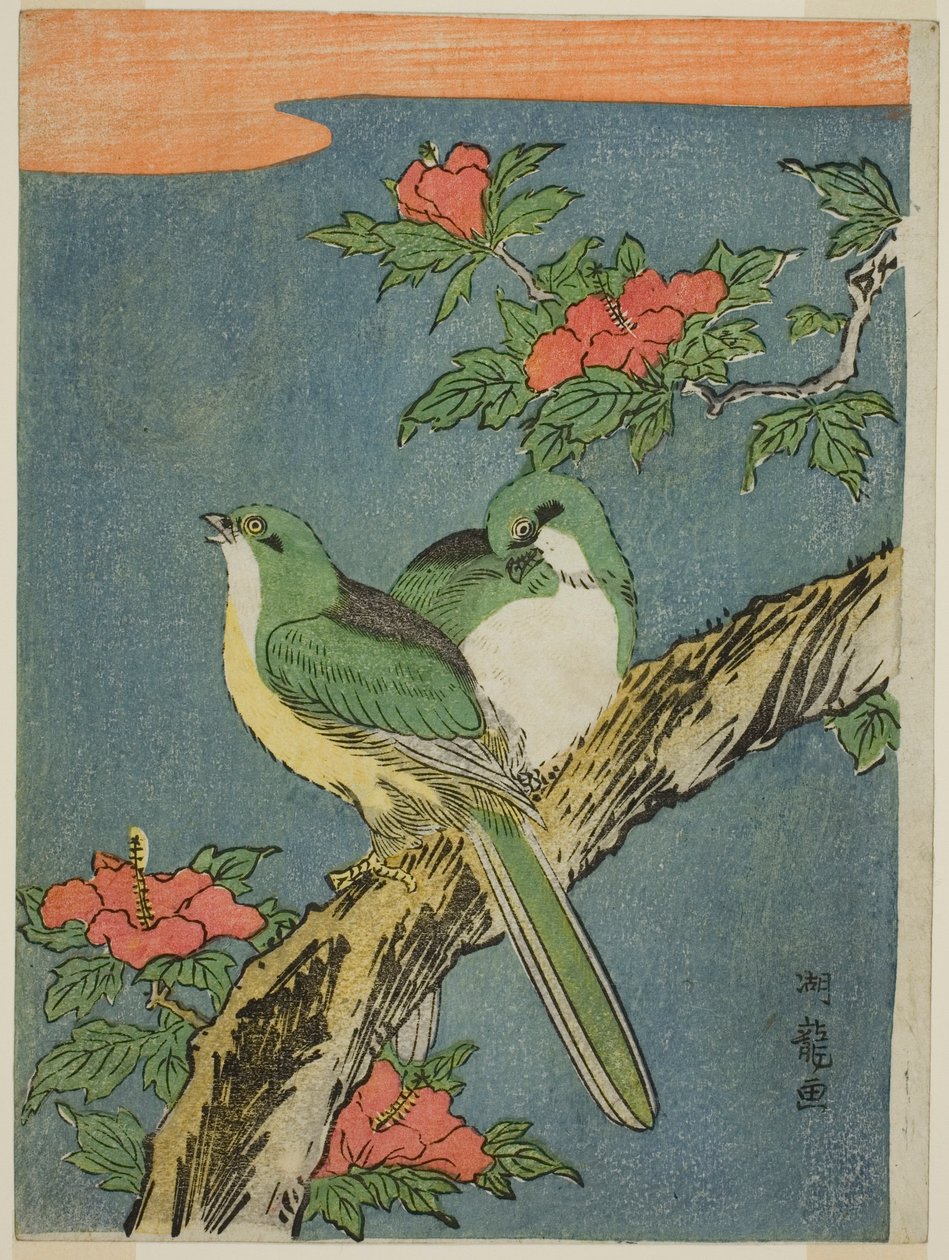 Hibiscus Ağacında İki Kuş by Isoda Koryusai