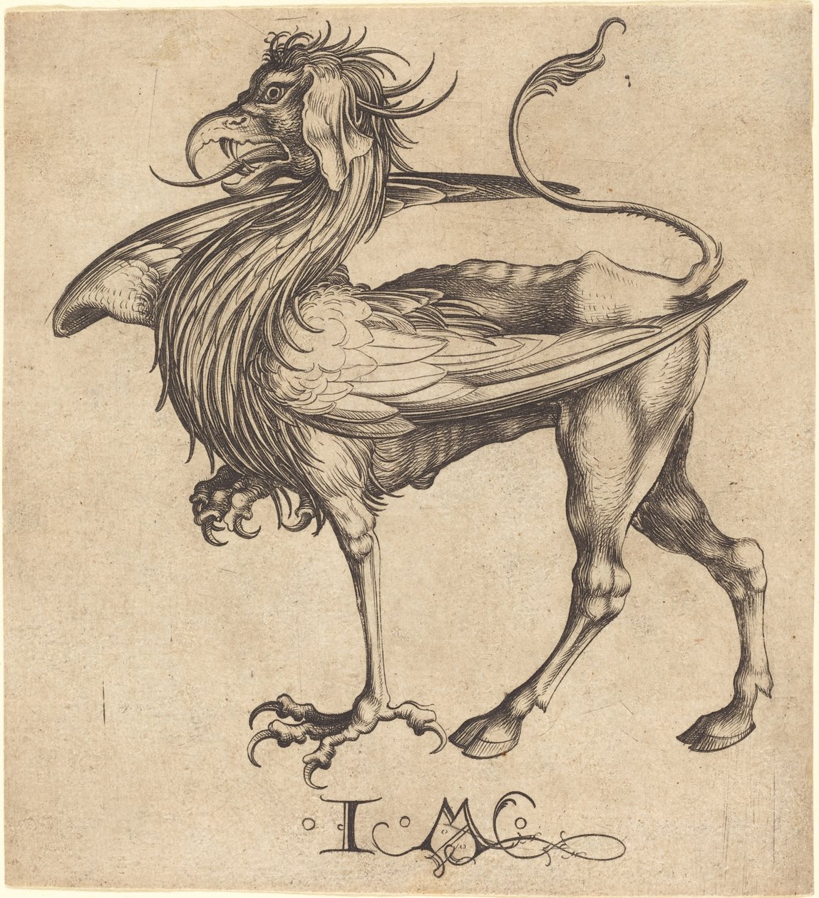 Griffin. by Israhel van Meckenem