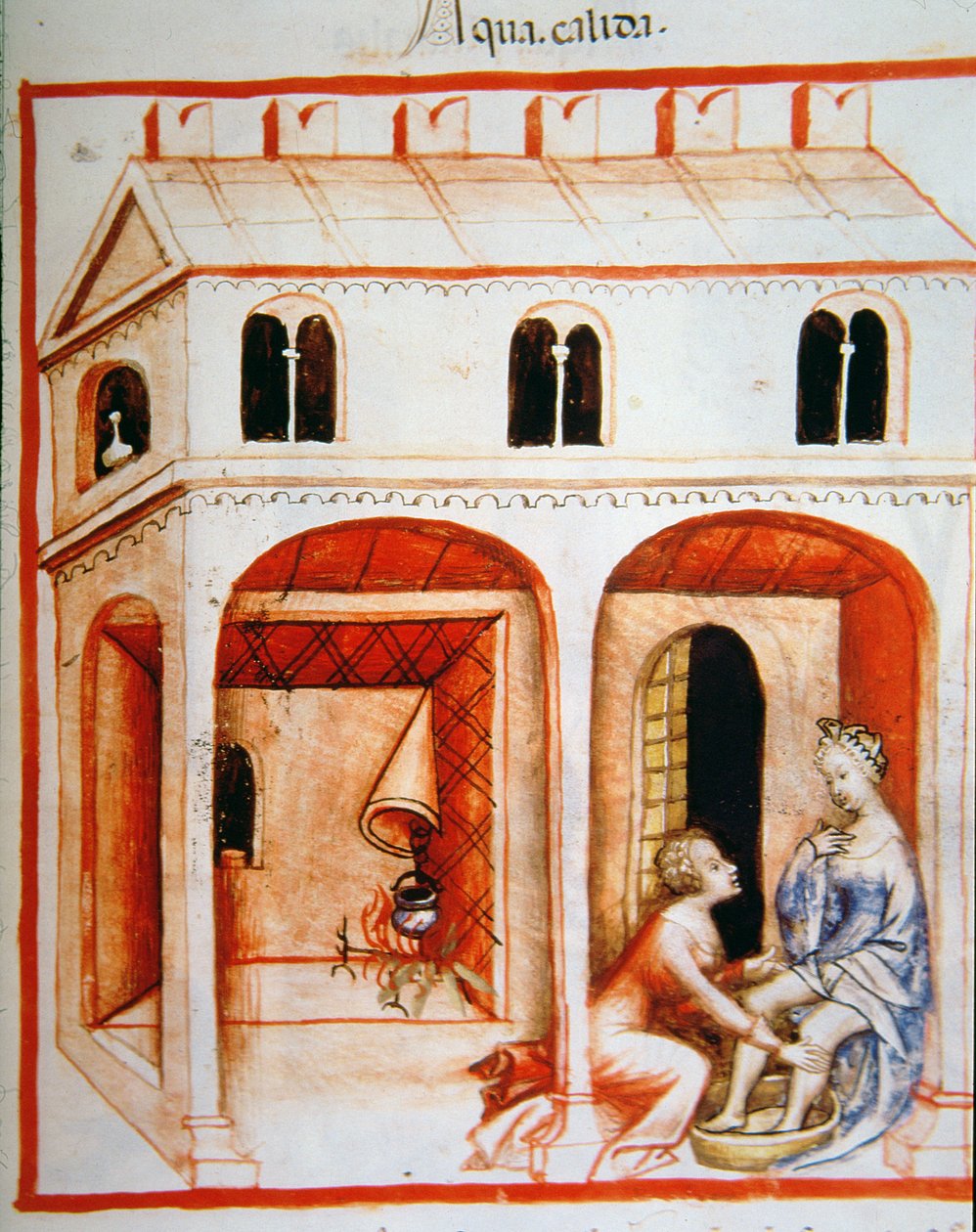 Fol.89r Sıcak Su, Tacuinum Santiatis Codex Vindobonensis