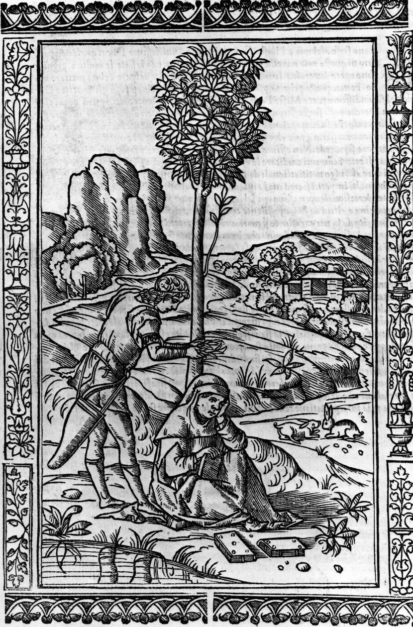 Francesco Petrarch