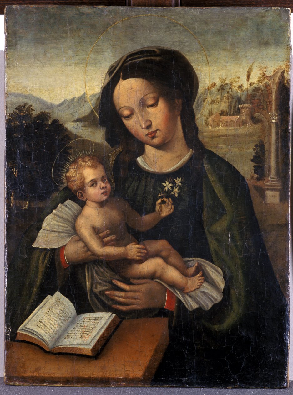 Madonna ve Çocuk (ahşapta öfke) by Italian School